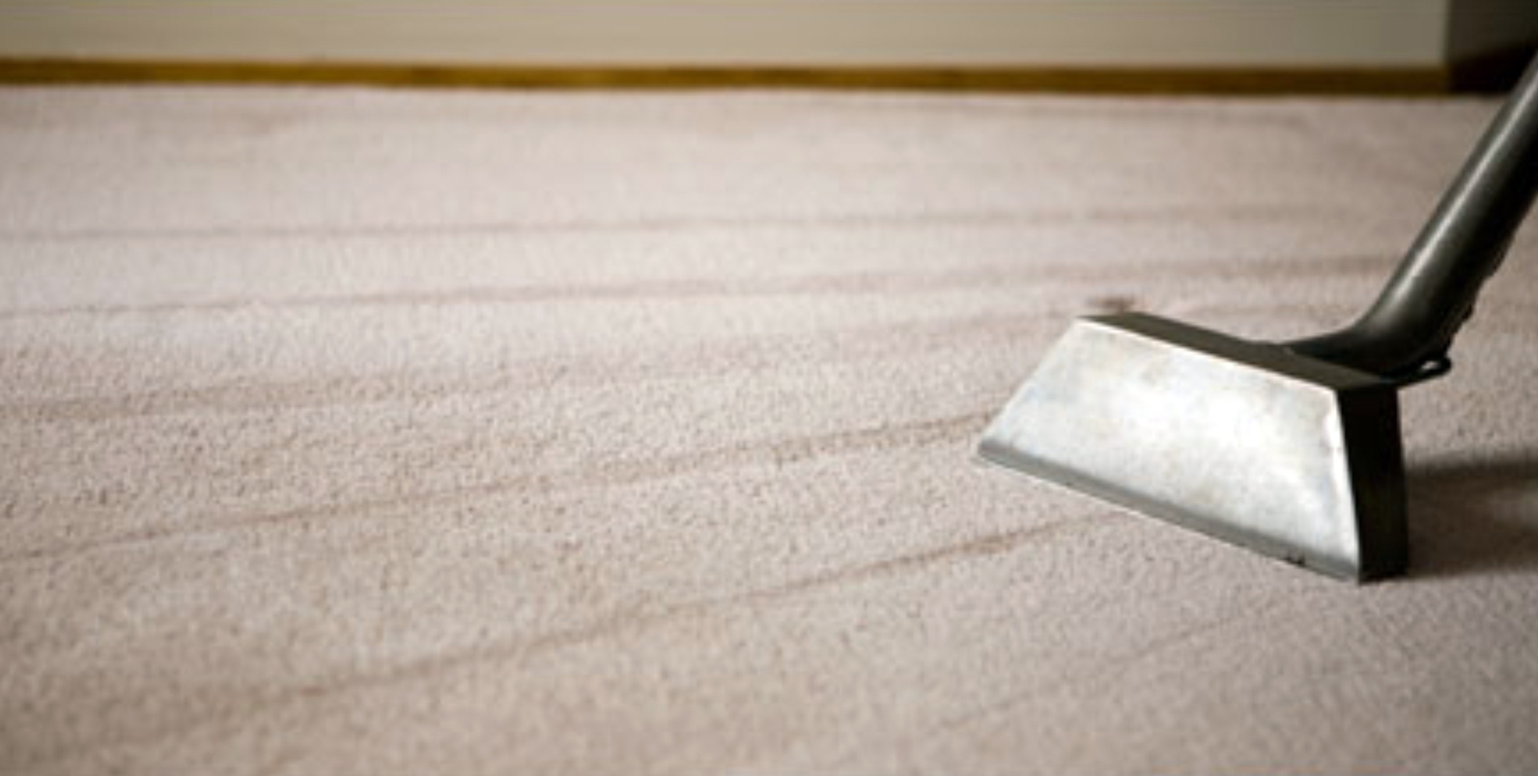 Before your carpet is cleaned